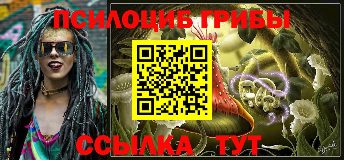 Галлюциногенные грибы Psilocybe Санкт-Петербург