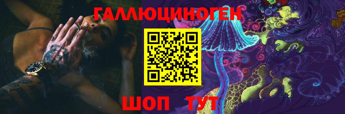 Галлюциногенные грибы Cubensis  Вход с VPN  Санкт-Петербург 